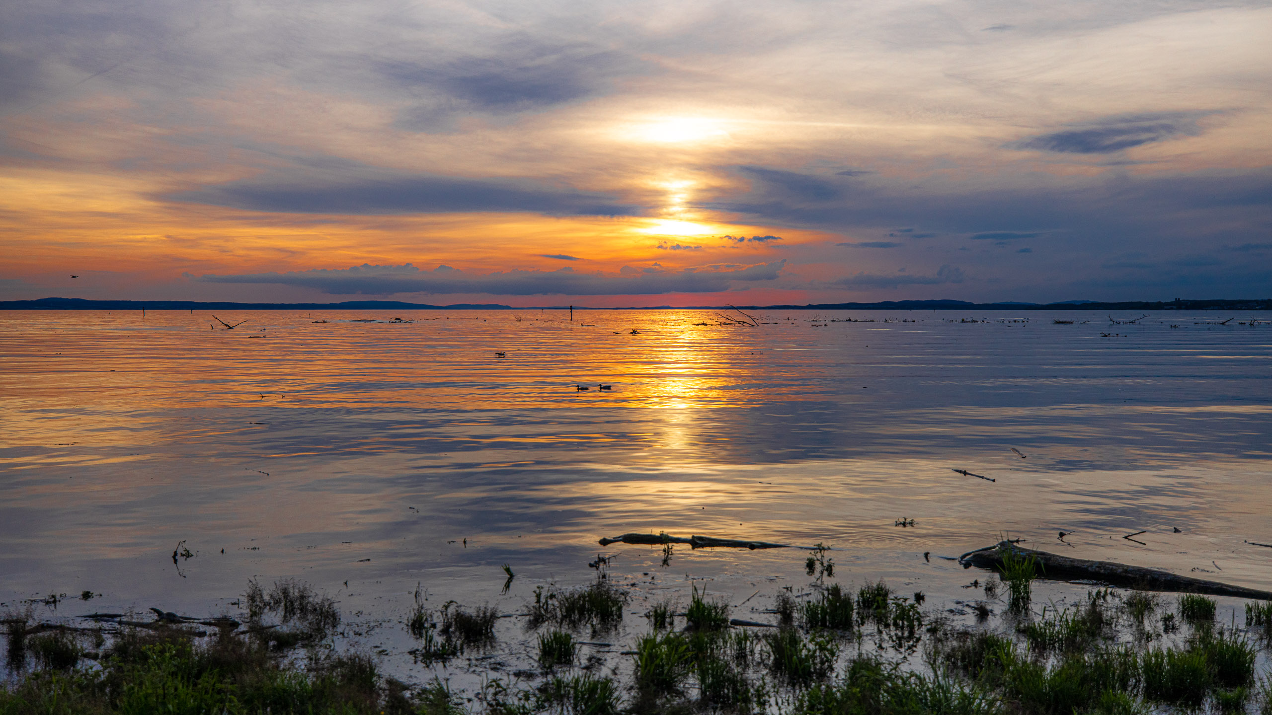 20230506200550 R5D 0822